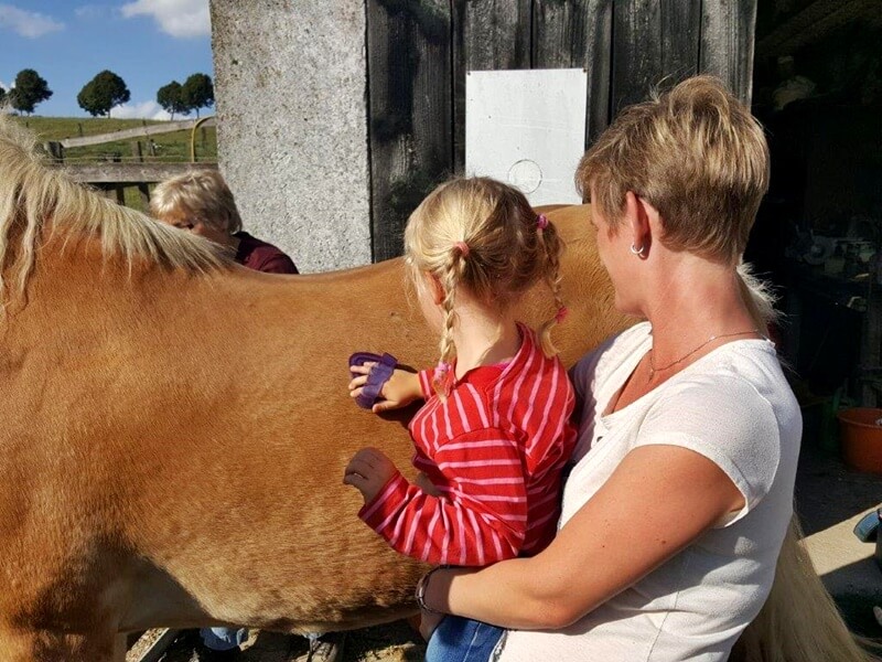Urlaub auf dem Bauernhof in Brilon Genuss-mit-fernweh.de Reisen mit Kindern 