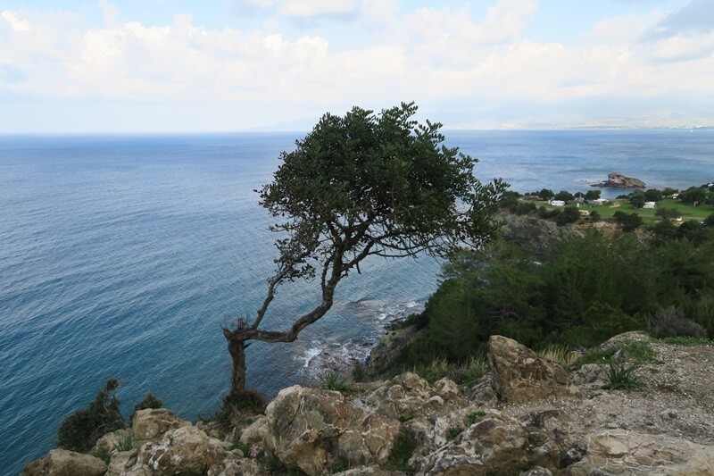 Akamas Nationalpark Latchi Zypern Reiseblog Reiseempfehlung Wanderung