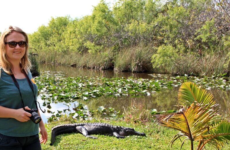 Everglades Safari Park USA Florida Rundreise Alligator