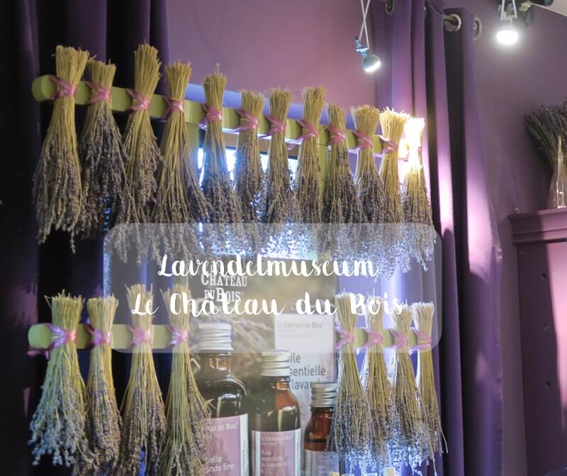 Lavendelmuseum Le Château du Bois Coustellet Provence Lavendel Reiseblog Genuss-mit-fernweh.de